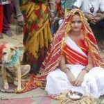 ازدواج دختر ۱۸ ساله هندی با سگ ولگرد