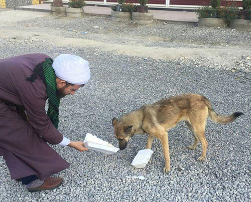 سگ در اسلام